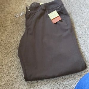 NWT, Sonoma trousers, 16W